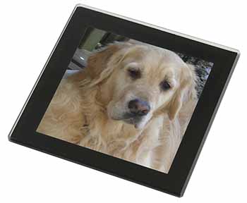 Golden Retriever Dog Black Rim High Quality Glass Coaster