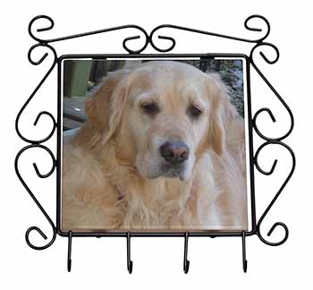 Golden Retriever Dog Wrought Iron Key Holder Hooks