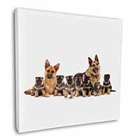 German Shepherd Dogs Square Canvas 12"x12" Wall Art Picture Print