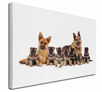 German Shepherd Dogs Canvas X-Large 30"x20" Wall Art Print