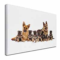 German Shepherd Dogs Canvas X-Large 30"x20" Wall Art Print