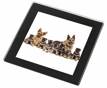 German Shepherd Dogs Black Rim High Quality Glass Coaster