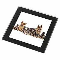 German Shepherd Dogs Black Rim High Quality Glass Coaster