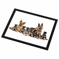 German Shepherd Dogs Black Rim High Quality Glass Placemat