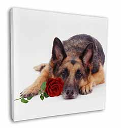 German Shepherd with Red Rose Square Canvas 12"x12" Wall Art Picture Print