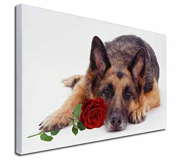 German Shepherd with Red Rose Canvas X-Large 30"x20" Wall Art Print