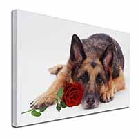 German Shepherd with Red Rose Canvas X-Large 30"x20" Wall Art Print