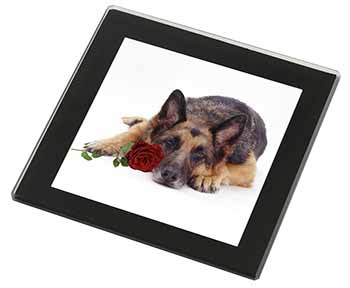 German Shepherd with Red Rose Black Rim High Quality Glass Coaster