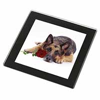 German Shepherd with Red Rose Black Rim High Quality Glass Coaster