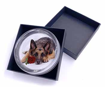 German Shepherd with Red Rose Glass Paperweight in Gift Box