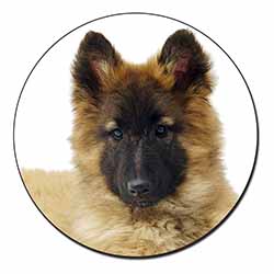 Belgian Shepherd Dog Fridge Magnet Printed Full Colour