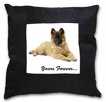 Belgian Tervuren Puppy Dog 