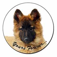 Belgian Tervuren Puppy Dog 