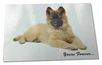 Large Glass Cutting Chopping Board Belgian Tervuren Puppy Dog 