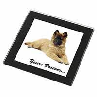 Belgian Tervuren Puppy Dog 