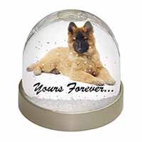 Belgian Tervuren Puppy Dog 