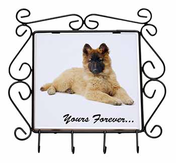 Belgian Tervuren Puppy Dog 