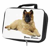 Belgian Tervuren Puppy Dog 