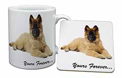 Belgian Tervuren Puppy Dog 