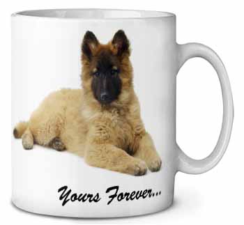 Belgian Tervuren Puppy Dog 