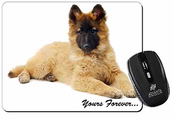 Belgian Tervuren Puppy Dog 