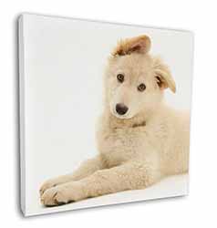 White German Shepherd Square Canvas 12"x12" Wall Art Picture Print