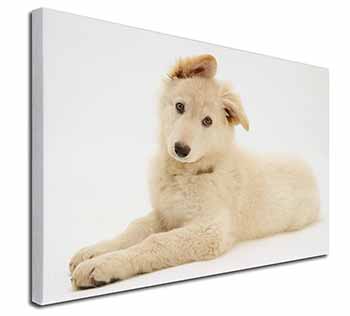 White German Shepherd Canvas X-Large 30"x20" Wall Art Print