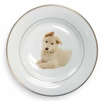 White German Shepherd Gold Rim Plate Printed Full Colour in Gift Box