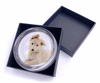 White German Shepherd Glass Paperweight in Gift Box