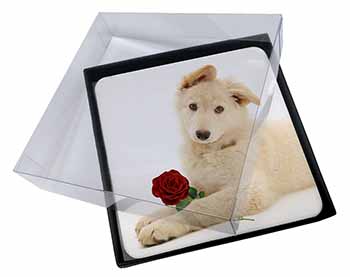 4x White German Shepherd with Rose Picture Table Coasters Set in Gift Box