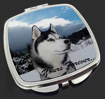 Siberian Husky Dog 