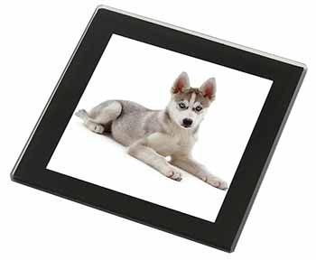 Siberian Husky Puppy Black Rim High Quality Glass Coaster