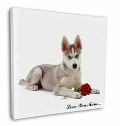 Husky with Red Rose 