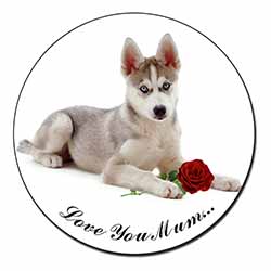 Husky with Red Rose 