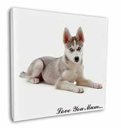 Siberian Husky Dog 