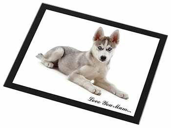 Siberian Husky Dog 