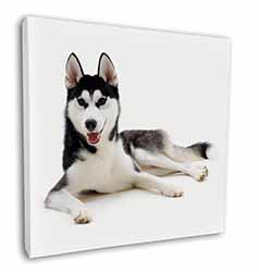 Siberian Husky Dog Square Canvas 12"x12" Wall Art Picture Print