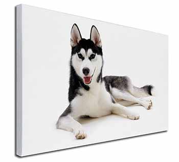 Siberian Husky Dog Canvas X-Large 30"x20" Wall Art Print