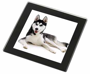 Siberian Husky Dog Black Rim High Quality Glass Coaster