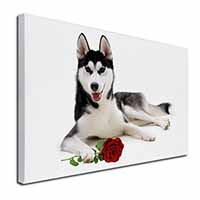 Siberian Husky with Red Rose Canvas X-Large 30"x20" Wall Art Print