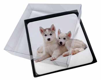 4x Siberian Huskies Picture Table Coasters Set in Gift Box