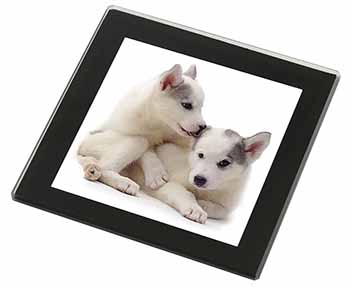 Siberian Husky Black Rim High Quality Glass Coaster