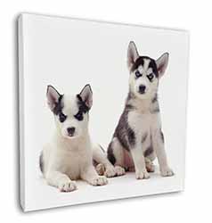 Siberian Huskies Square Canvas 12"x12" Wall Art Picture Print