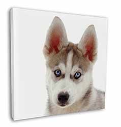 Siberian Husky Square Canvas 12"x12" Wall Art Picture Print