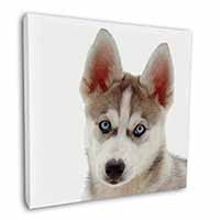 Siberian Husky Square Canvas 12"x12" Wall Art Picture Print