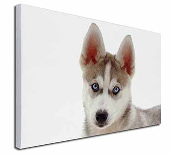 Siberian Husky Canvas X-Large 30"x20" Wall Art Print