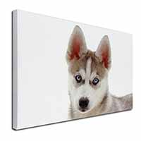 Siberian Husky Canvas X-Large 30"x20" Wall Art Print