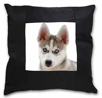 Siberian Husky Black Satin Feel Scatter Cushion