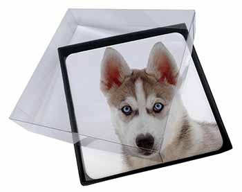 4x Siberian Husky Picture Table Coasters Set in Gift Box