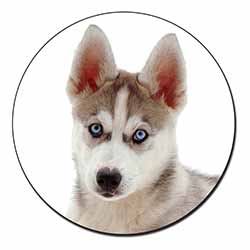 Siberian Husky Fridge Magnet Printed Full Colour